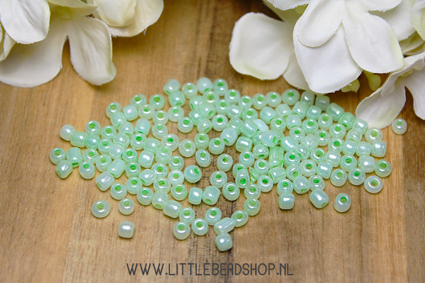 Rocailles Pearl Mint Green 4mm, 27 grams