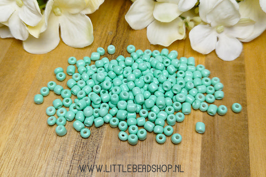 Seed beads Mint Green 4mm, 27 grams