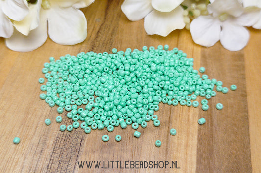Seed beads Mint Green 2mm, 15 grams