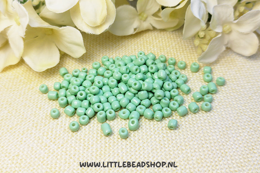 Seed beads Mint Green 4mm, 27 grams