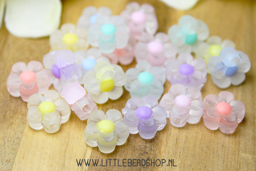 Acryl Kralen Bloemetjes Frosted, +/- 20 stuks