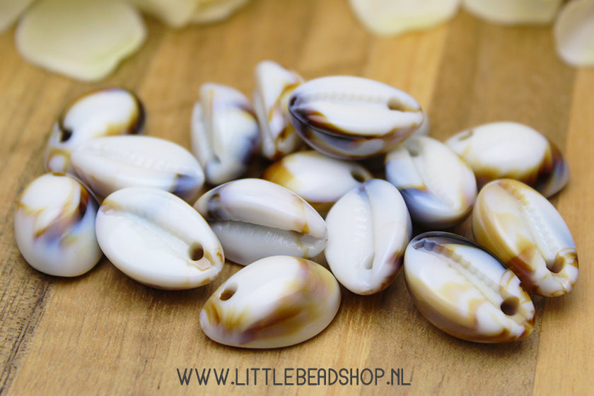 Acryl kralen Cowrie Schelp Bedels, 10 stuks
