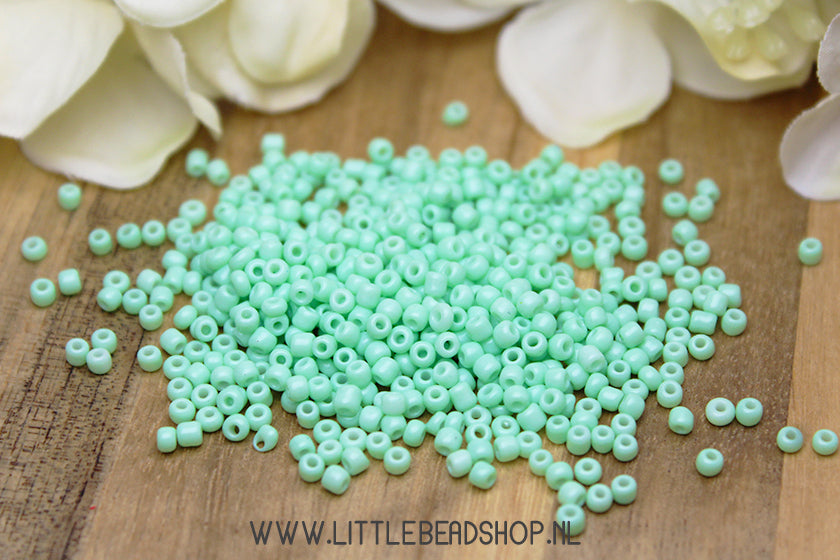 Rocailles Mint Green 2mm, 15 gram