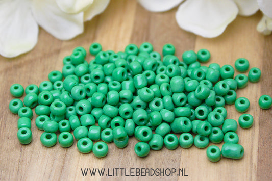 Seed beads Aquamarine Green 4mm, 27 grams