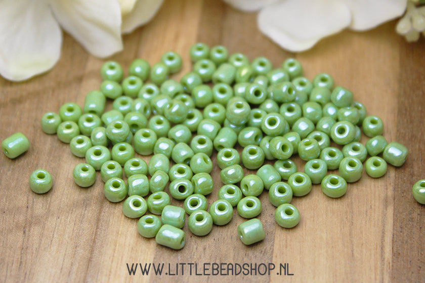 Rocailles Pale Green Shine 4mm, 27 gram