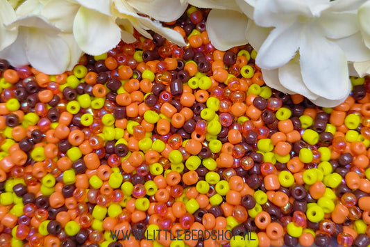 Seed Beads Beads Mix Warm Autumn 4mm, 27 grams