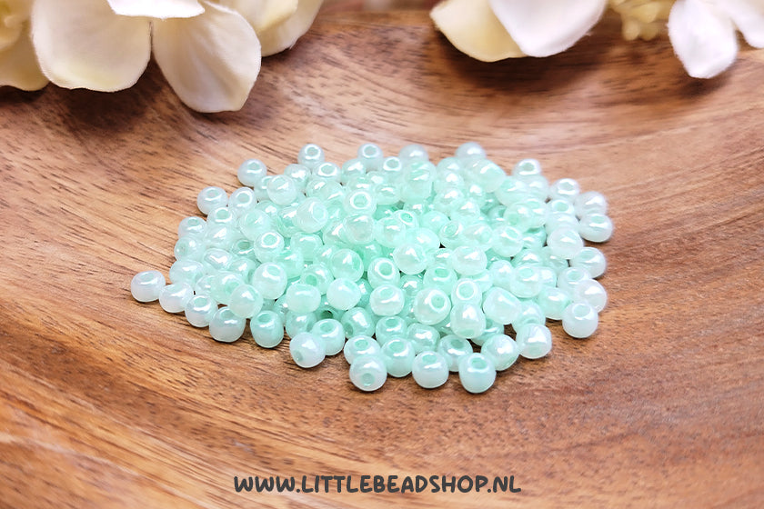 Rocailles Parel Zeeblauw 4mm, 27 gram