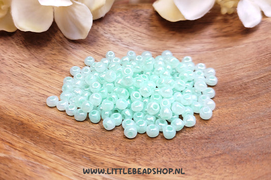 Rocailles Parel Zeeblauw 4mm, 27 gram