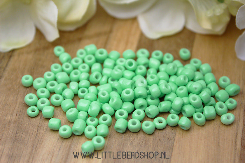 Rocailles Mint Green 4mm, 27 gram